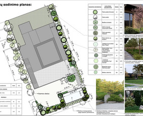 Kraštovaizdžio projektavimas, apželdinimas / MB MAMAFLORA / Darbų pavyzdys ID 4267079