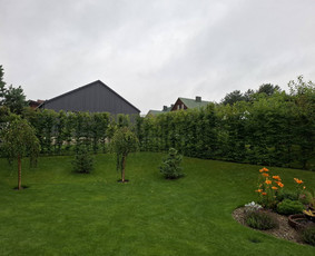 Kraštovaizdžio projektavimas, apželdinimas / MB MAMAFLORA / Darbų pavyzdys ID 4267295