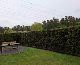 Kraštovaizdžio projektavimas, apželdinimas / MB MAMAFLORA / Darbų pavyzdys ID 4267297