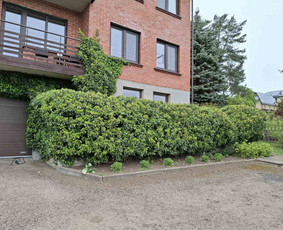 Kraštovaizdžio projektavimas, apželdinimas / MB MAMAFLORA / Darbų pavyzdys ID 4267299