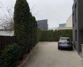 Gyvatvorių karpymas - Kra&scaron;tovaizdžio projektavimas, apželdinimas - 3