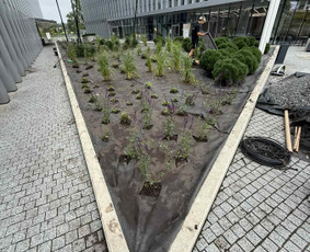 Augalų ir medelių sodinimas - Kra&scaron;tovaizdžio projektavimas, apželdinimas - 3