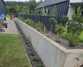 Augalų ir medelių sodinimas - Kra&scaron;tovaizdžio projektavimas, apželdinimas - 2