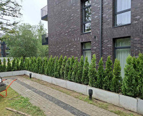 Kraštovaizdžio projektavimas, apželdinimas / MB MAMAFLORA / Darbų pavyzdys ID 4267337