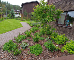 Kiemo, aplinkos apželdinimas - Kra&scaron;tovaizdžio projektavimas, apželdinimas - 2