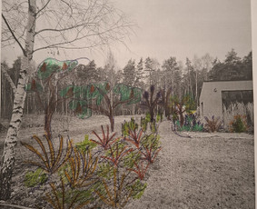 Sodų/želdynų formavimas, priežiūra ir vystymas / Jurgita Mieliauskaitė / Darbų pavyzdys ID 4268381