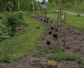 Alpinariumų, gėlynų įrengimas - Sodų/želdynų priežiūra, formavimas ir vystymas - 1