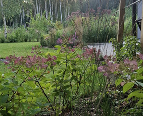 Aplinka, sodas - Sodų/želdynų priežiūra, formavimas ir vystymas - 2