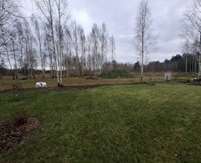 Aplinka, sodas - Sodų/želdynų priežiūra, formavimas ir vystymas - 4