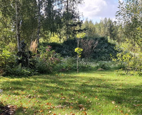 Kiemo, aplinkos apželdinimas - Sodų/želdynų priežiūra, formavimas ir vystymas - 3