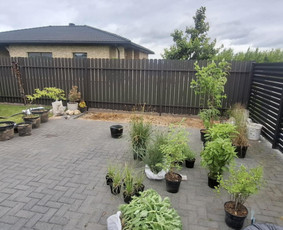 Augalų ir medelių sodinimas - Sodų/želdynų priežiūra, formavimas ir vystymas - 1