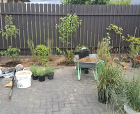 Augalų ir medelių sodinimas - Sodų/želdynų priežiūra, formavimas ir vystymas - 2