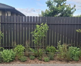 Augalų ir medelių sodinimas - Sodų/želdynų priežiūra, formavimas ir vystymas - 3