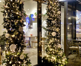 Vitrinų dekoravimas - Augalų menas - dekoras ir žalioji interjero estetika - 2