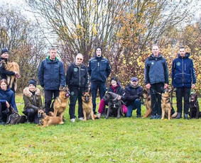 &Scaron;unų, kačių kirpyklos - Baltijos Kinologijos Centras - 1