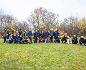 &Scaron;unų, kačių kirpyklos - Baltijos Kinologijos Centras - 4