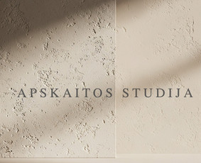 Paslaugos verslui - Buhalterinės apskaitos paslaugos mažiems verslams - 1