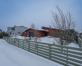 Kitos kategorijos - NT pirkimas/pardavimas/nuoma/nt pridavimo paslaugos - 4