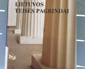Procesinių dokumentų rengimas - Profesionalios teisinės konsultacijos ir paslaugos - 1