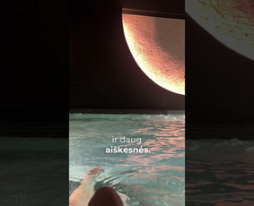 Paslaugos verslui - Marketingo projektų koordinatorė - 2