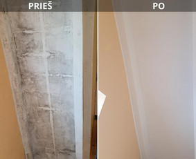 Buitinės paslaugos - Pelėsio/trobagrybio naikinimas visoje Lietuvoje - 2