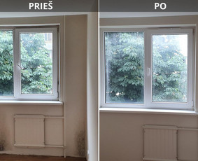 Buitinės paslaugos - Pelėsio/trobagrybio naikinimas visoje Lietuvoje - 1