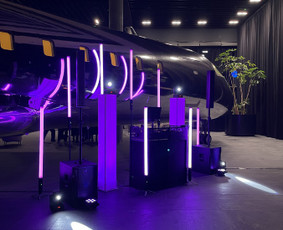 Įmonių renginių vedimas - Renginių vedėjas Tarun su Dj - 1