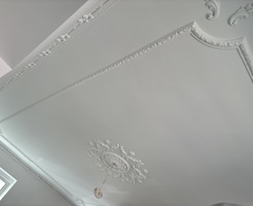 Pakabinamų lubų montavimas - Vidaus ir lauko darbai,naujų namų-patalpų statyba-renovacija - 2