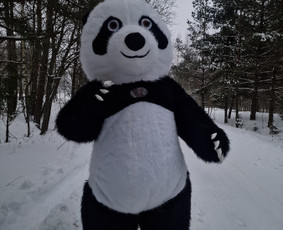 Animatoriai, personažai vaikams - Animatorė Vitalija-personažai - 4