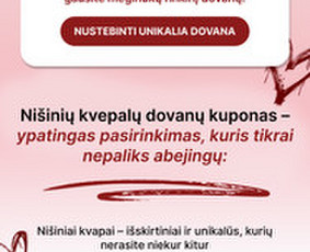 Paslaugos verslui - Efektyvus Email Marketing - automatizacijos, naujienlai&scaron;kiai - 4