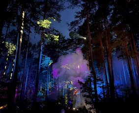 Muzikantai, dainininkai, grupės - Garso, ap&scaron;vietimo ir scenos sprendimai renginiams - 2