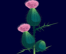 Iliustracijų pie&scaron;imas - Vektorinės iliustracijos - 1