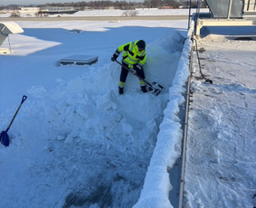Stogų valymas ir priežiūra - Stogų valymas rankiniu ir mechanizuotu būdu - 3