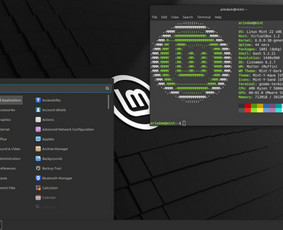 Virusų valymas - Kompiuterių ir jų programinės įrangos tvarkymas - 3