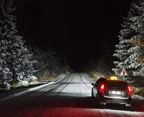 Patikimas keleivių pervežimas 24/7 / alytus-transfer.lt / Darbų pavyzdys ID 4277201