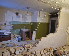 Griovimo darbai/ aliekų išvežimas / Algimantas Caronkus / Darbų pavyzdys ID 4277529
