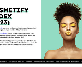 Programavimas su WordPress - Wordpress svetainių kūrimas/priežiura, - 4