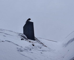 Stogdengiai, stogo darbai - Stogdengiai - 4