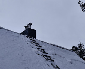 Stogdengiai, stogo darbai - Stogdengiai - 1