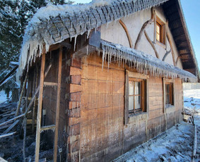 Žalų administravimas - Valymas po gaisro I Remeks - 4