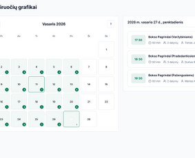 Internetas, IT - Sistemų kūrimas, individualūs sprendimai verslui - 2