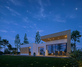 3D modeliavimas, vizualizacijų kūrimas - 3d eksterjero ir interjero vizualizacijos - 4