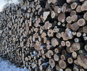 Buitinės paslaugos - Alksnio ir beržo malkos - 1