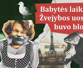 Reklamos paslaugos - Tiktok ir Meta reklama, video produkcija, svetainių kūrimas. - 3