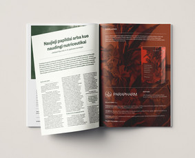 Leidinių maketavimas - Logotipų kūrimas, įmonės įvaizdis - 1