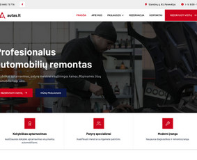 Svetainių kūrimas - Svetainių kūrimas   - 2