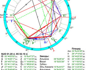 Individualios astrologinės konsultacijos / Ieva Adlytė / Darbų pavyzdys ID 4282011