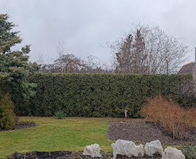 Vaismedžių genėjimas - Vaismedžių genėjimas ir gyvatvorių karpymas - 3