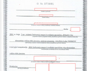 Darbo saugos paslaugos - Vadybos sistemų priežiūra - 2