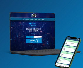 Internetas, IT - Verslo valdymo sistemų ir kitų platformų kūrimas - 3